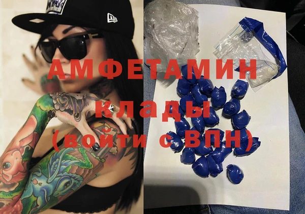 apvp Алзамай