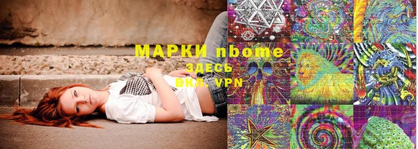 apvp Алзамай