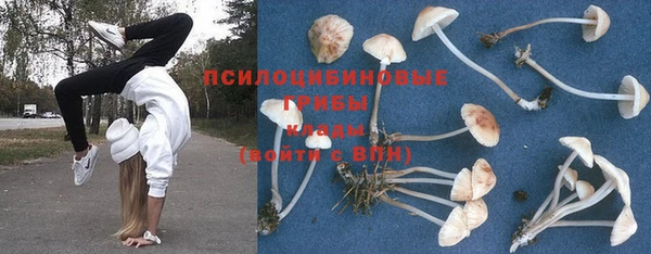 экстази Алексин