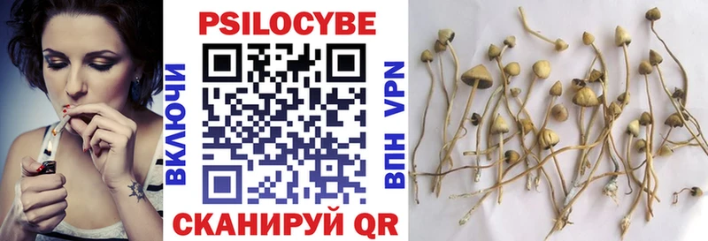 Псилоцибиновые грибы Magic Shrooms  купить закладку  Тогучин 
